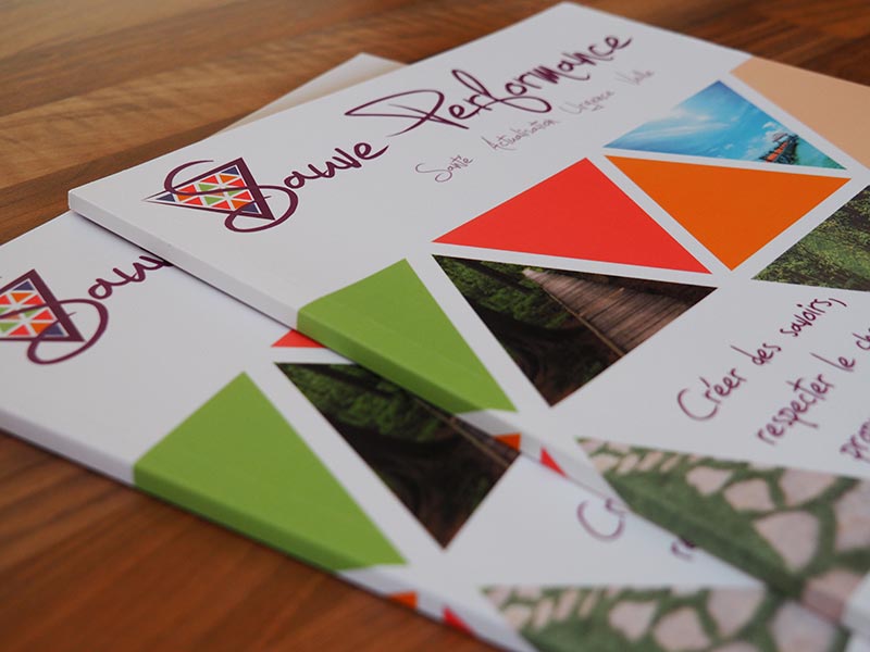 Catalogue 72 pages Sauveperformance